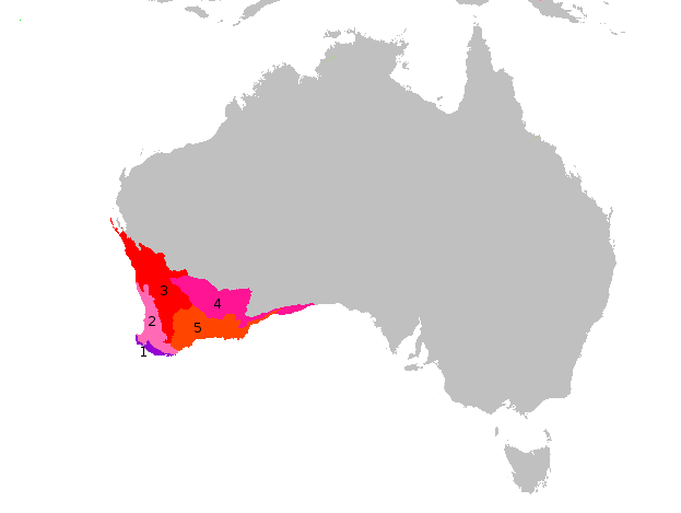  Ecoregions of Southwest Australia, as defined by the WWF.  1.  Jarrah-Karri forest and shrublands ; 2.  Southwest Australia woodlands ; 3.  Southwest Australia savanna ; 4.  Coolgardie woodlands ; 5.  Esperance mallee . 