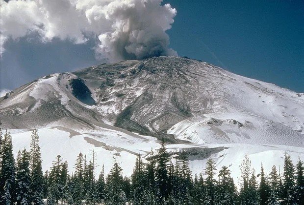  PHOTO: DAVID SWANSON, USGS. Snow packed Mt. St. Helen’s summit, with white, billowing smoke; a bright blue sky, and tall fir trees in foreground. 