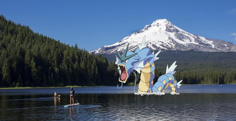   Gyarados invades Trillium Lake near Mt. Hood. Photo from twitter @inMtHood.  Check out their website !  